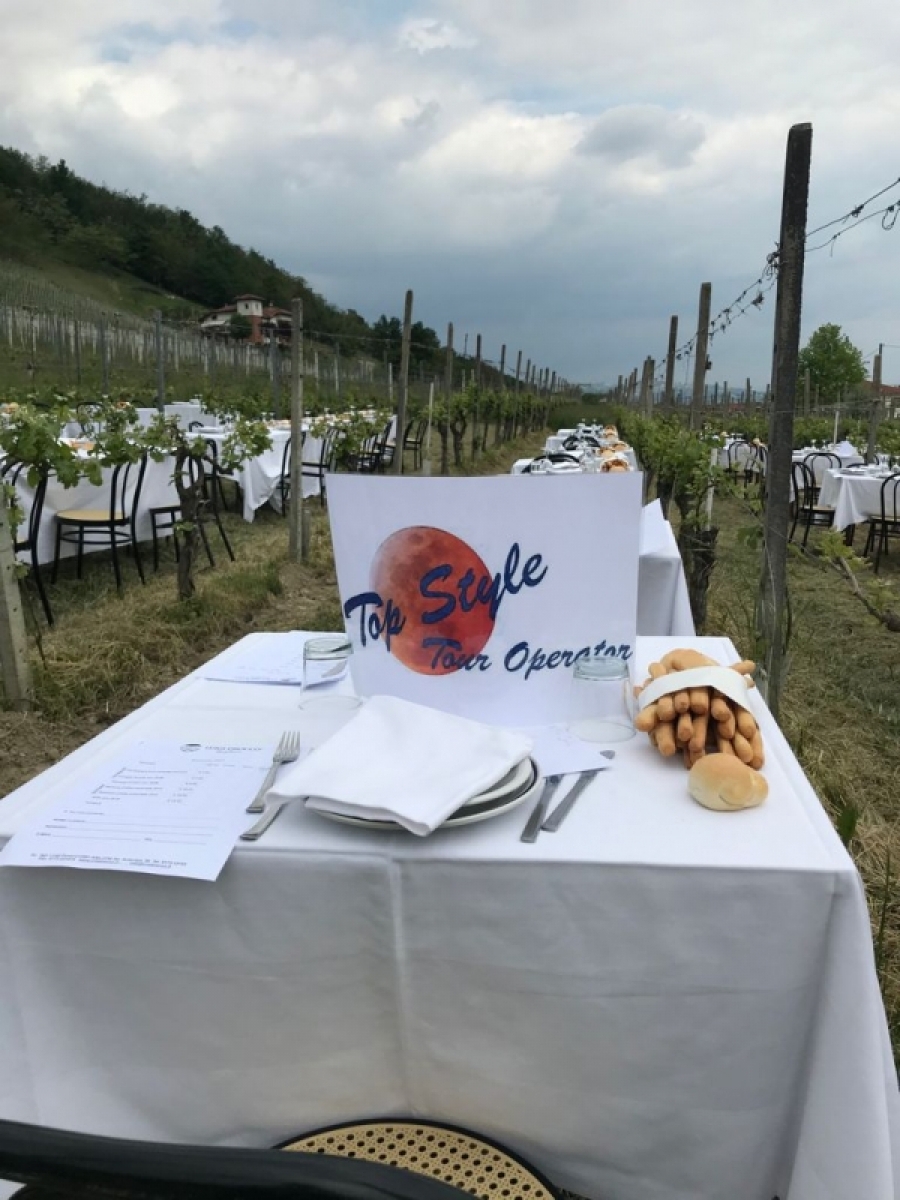 PRANZO IN VIGNA CON CAMMINATA CAMPAGNOLA 